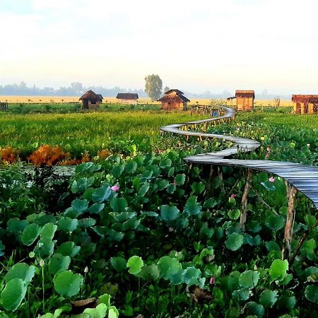 Viet Mekong Farmstay Tràm Chim Buitenkant foto
