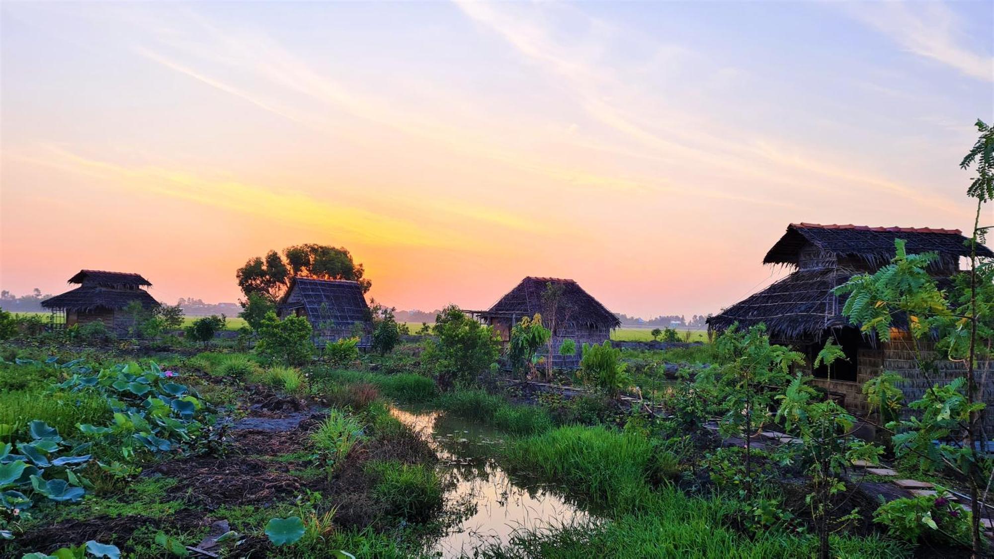 Viet Mekong Farmstay Tràm Chim Buitenkant foto